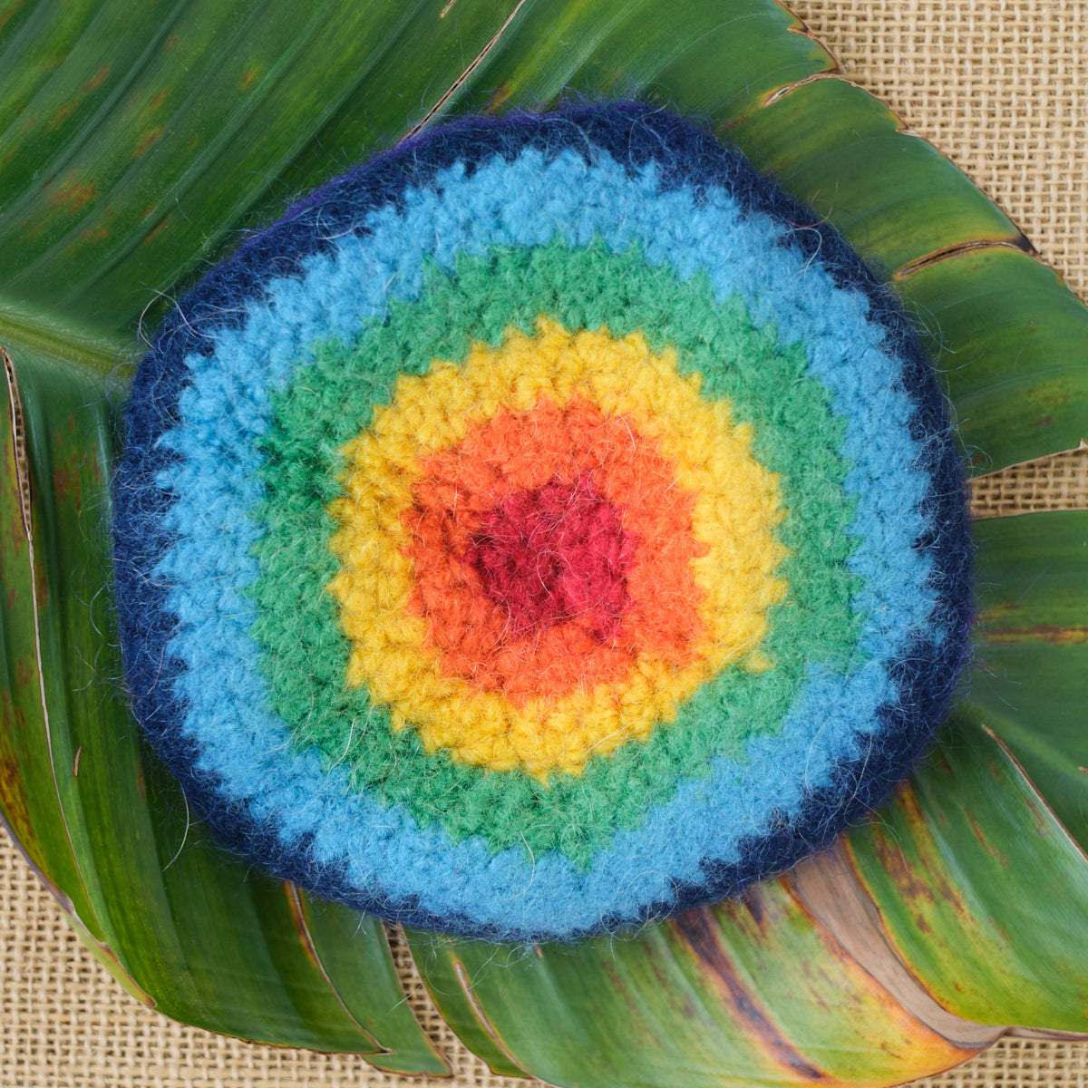 Felted Wool Flying Disc/Frisbee